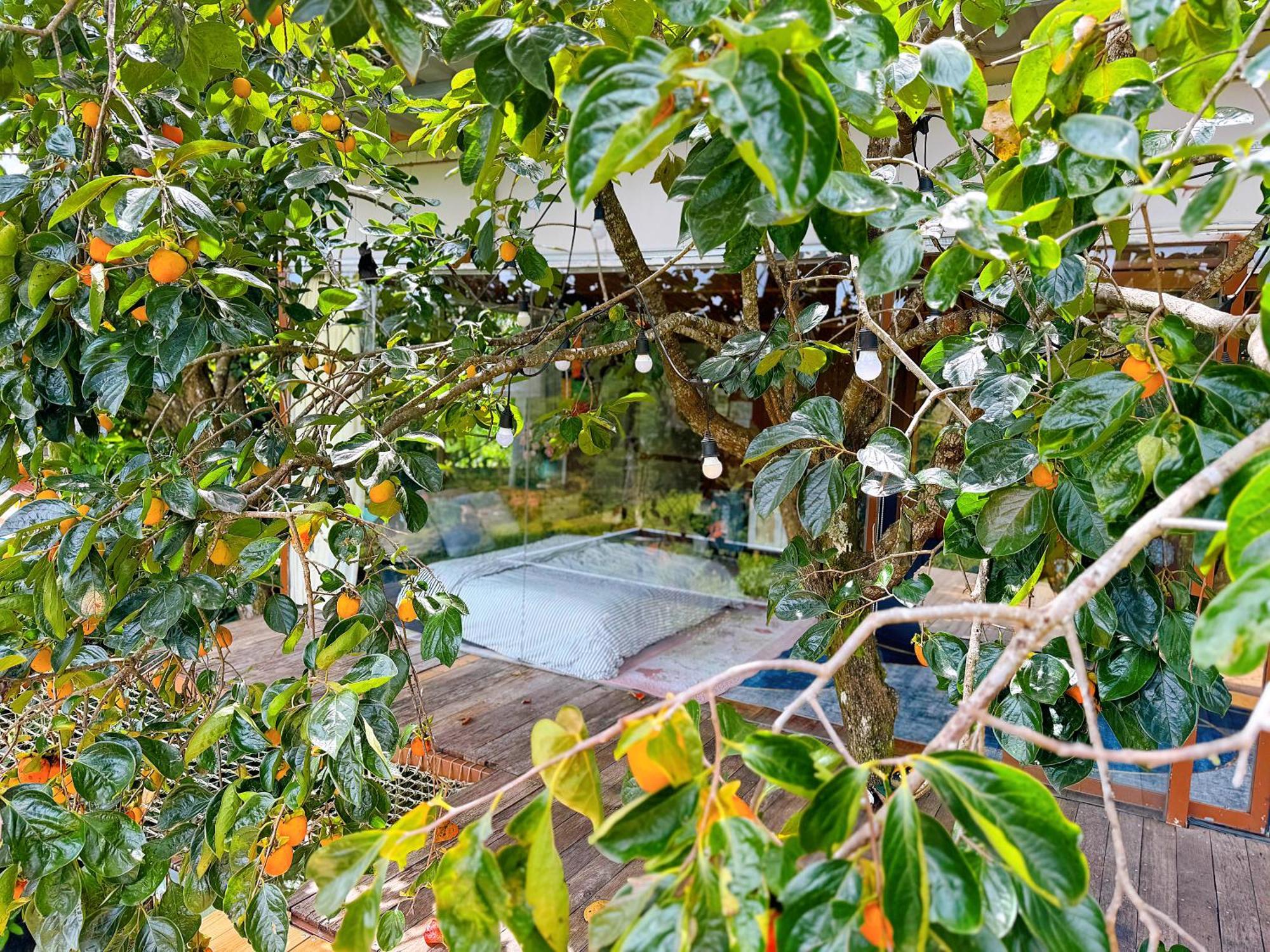 An Yen Villa Da Lat Dış mekan fotoğraf